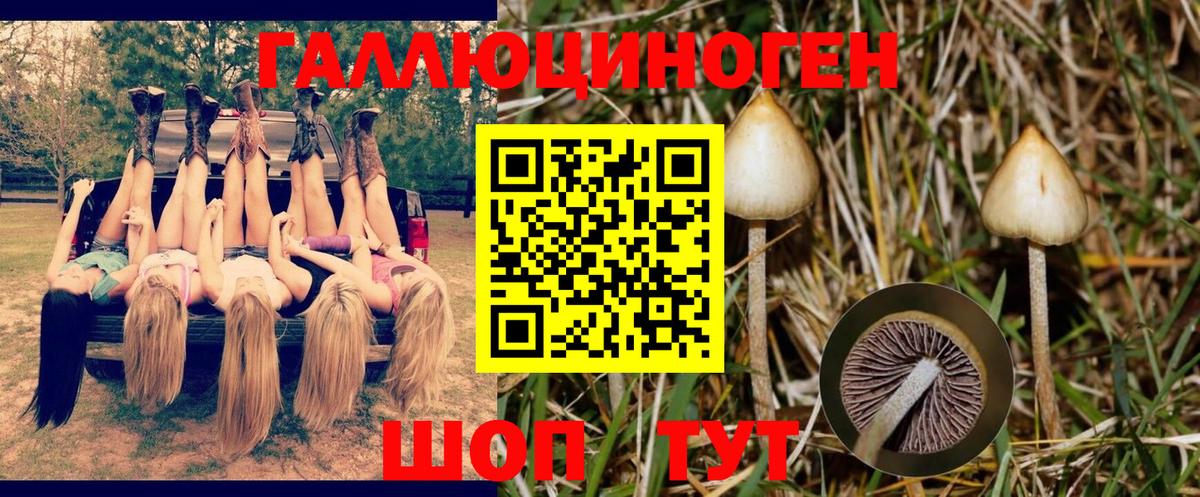 Псилоцибиновые грибы мицелий Кемерово